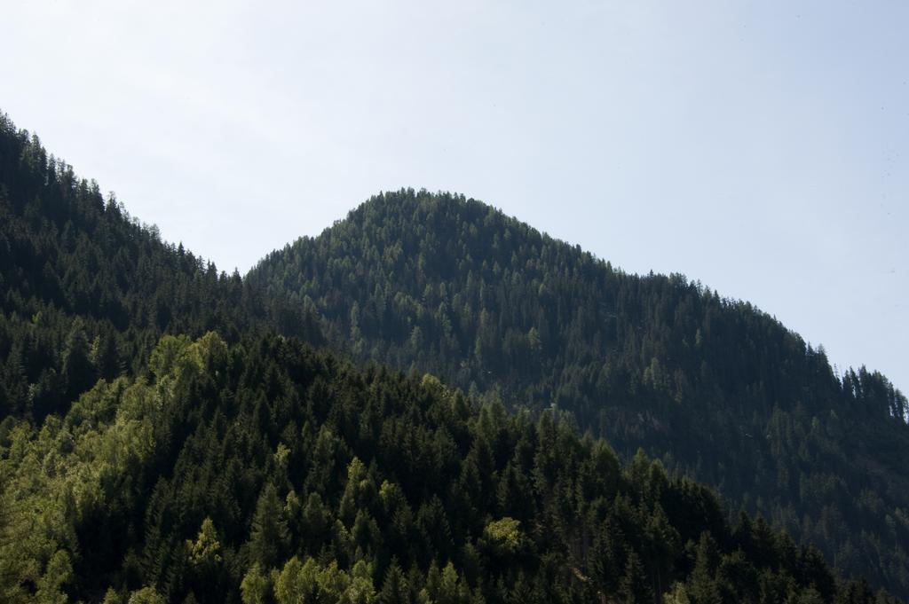 Haus Deiser Kappl  Ruang foto